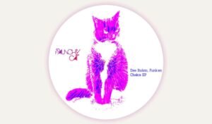 Arte de Capa - Selo Musical Paunchy Cat