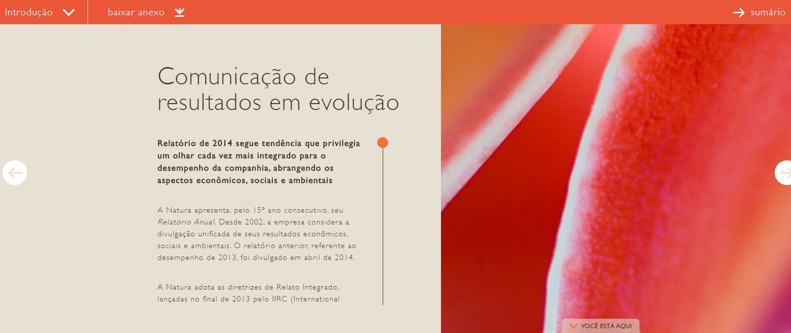 Hotsite Relatório Anual Natura 2014