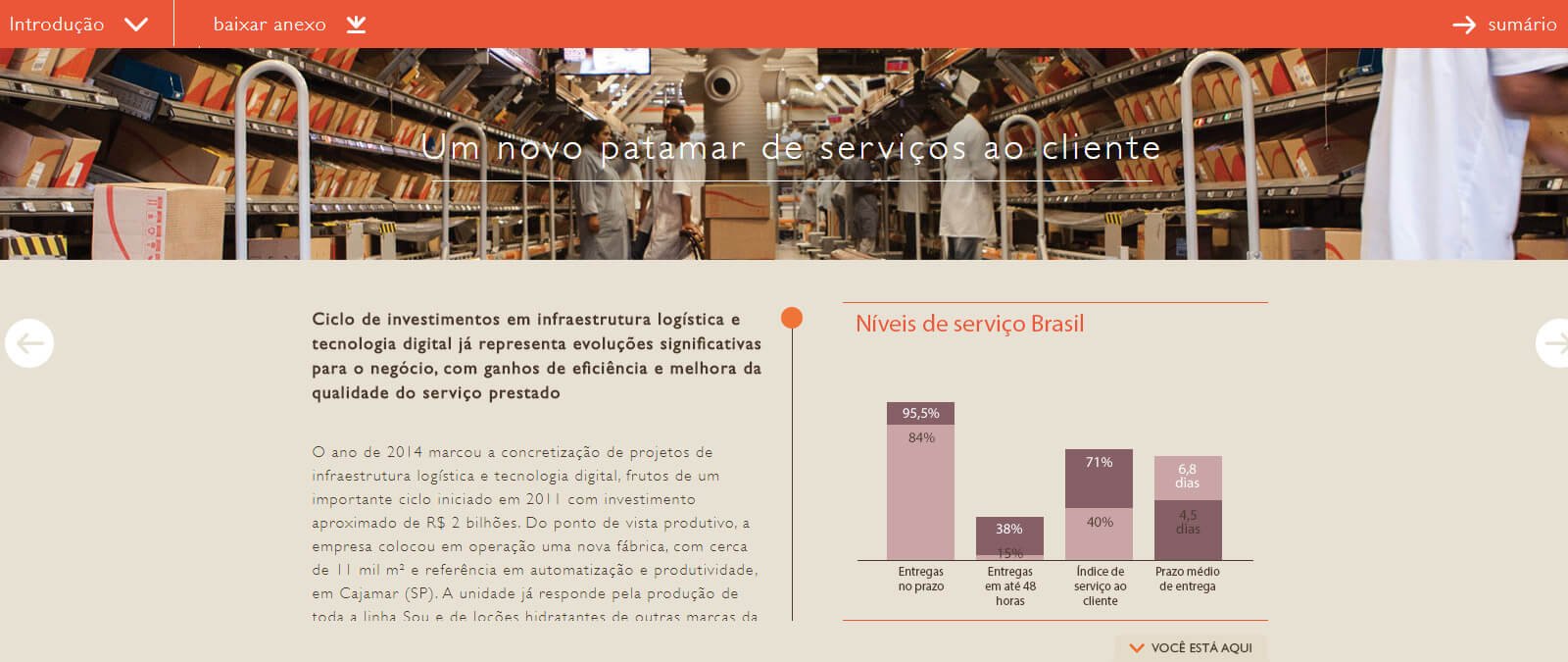 Hotsite Relatório Anual Natura 2014