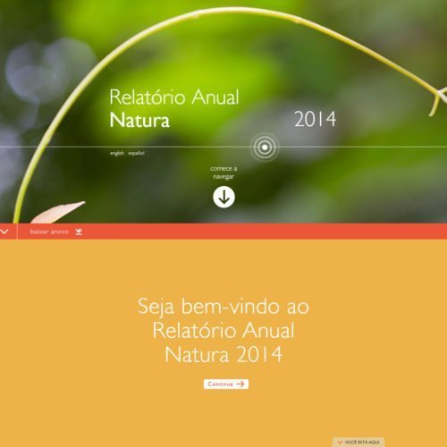 Hotsite Relatório Anual Natura 2014