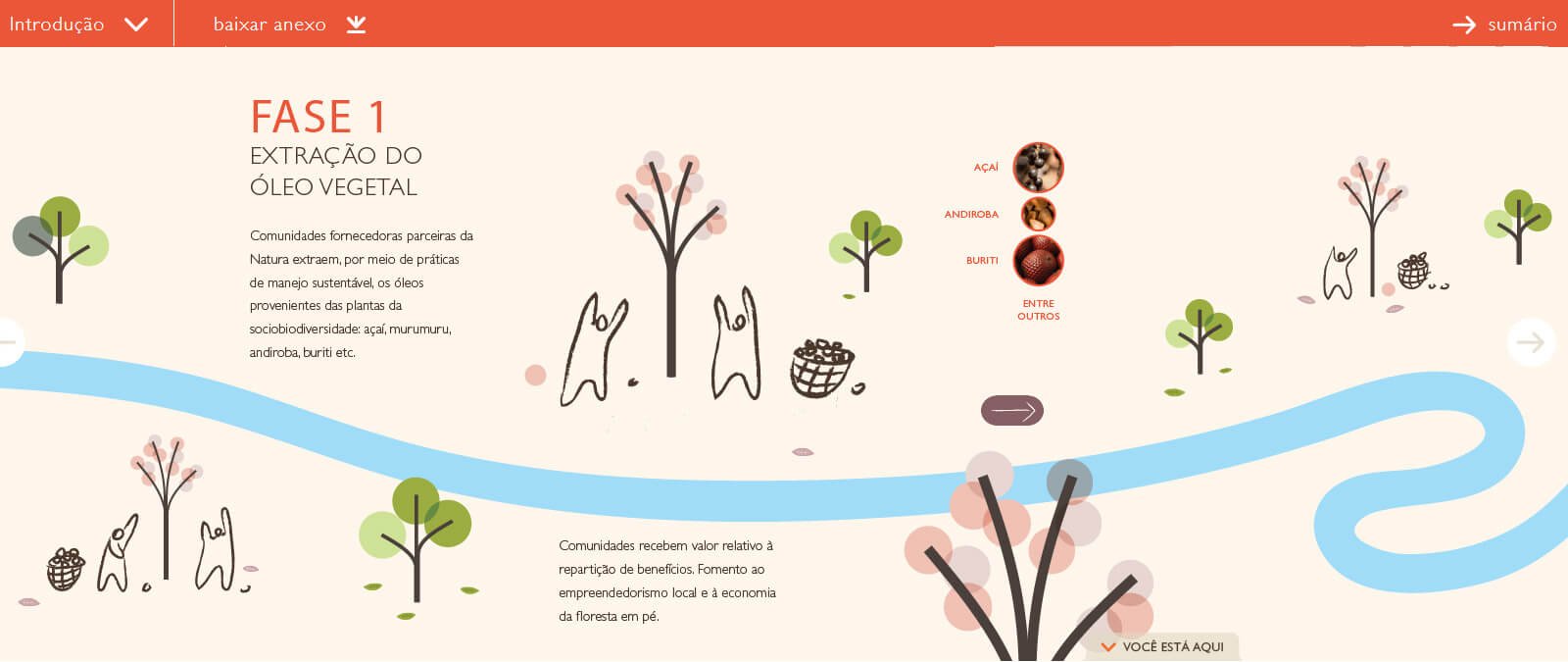 Hotsite Relatório Anual Natura 2014