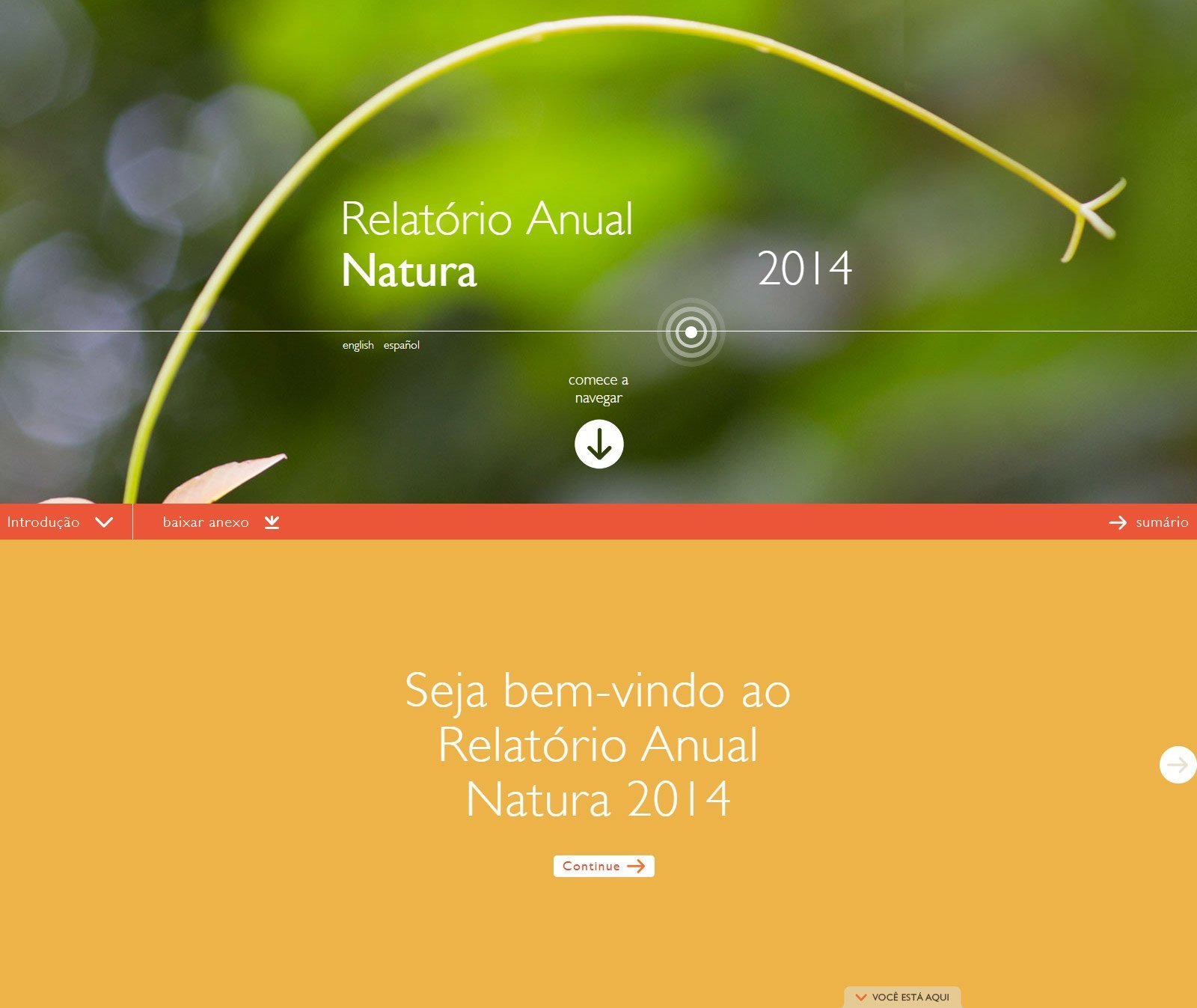 Hotsite Relatório Anual Natura 2014